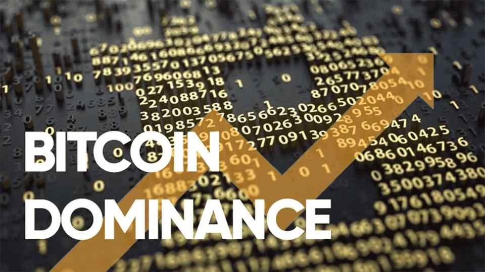 BTC.D là gì? Bật mí cách áp dụng BTC Dominance để phân tích Crypto hiệu quả